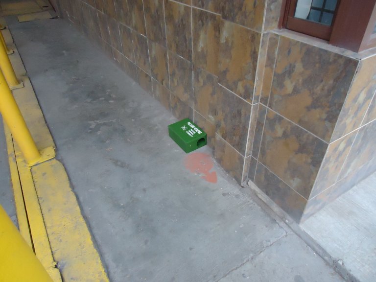 RATAS EN HOTELES